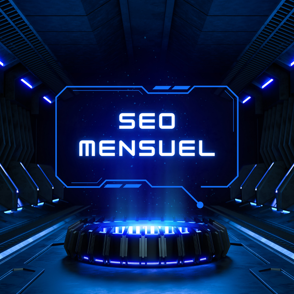 Service SEO mensuel